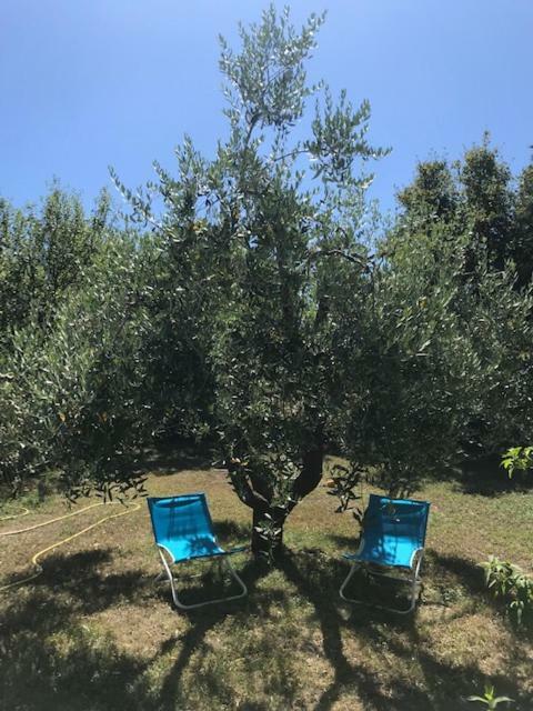 Casa Lory Poggio Murella Buitenkant foto
